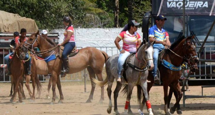 Festa-do-Vaqueiro.jpg